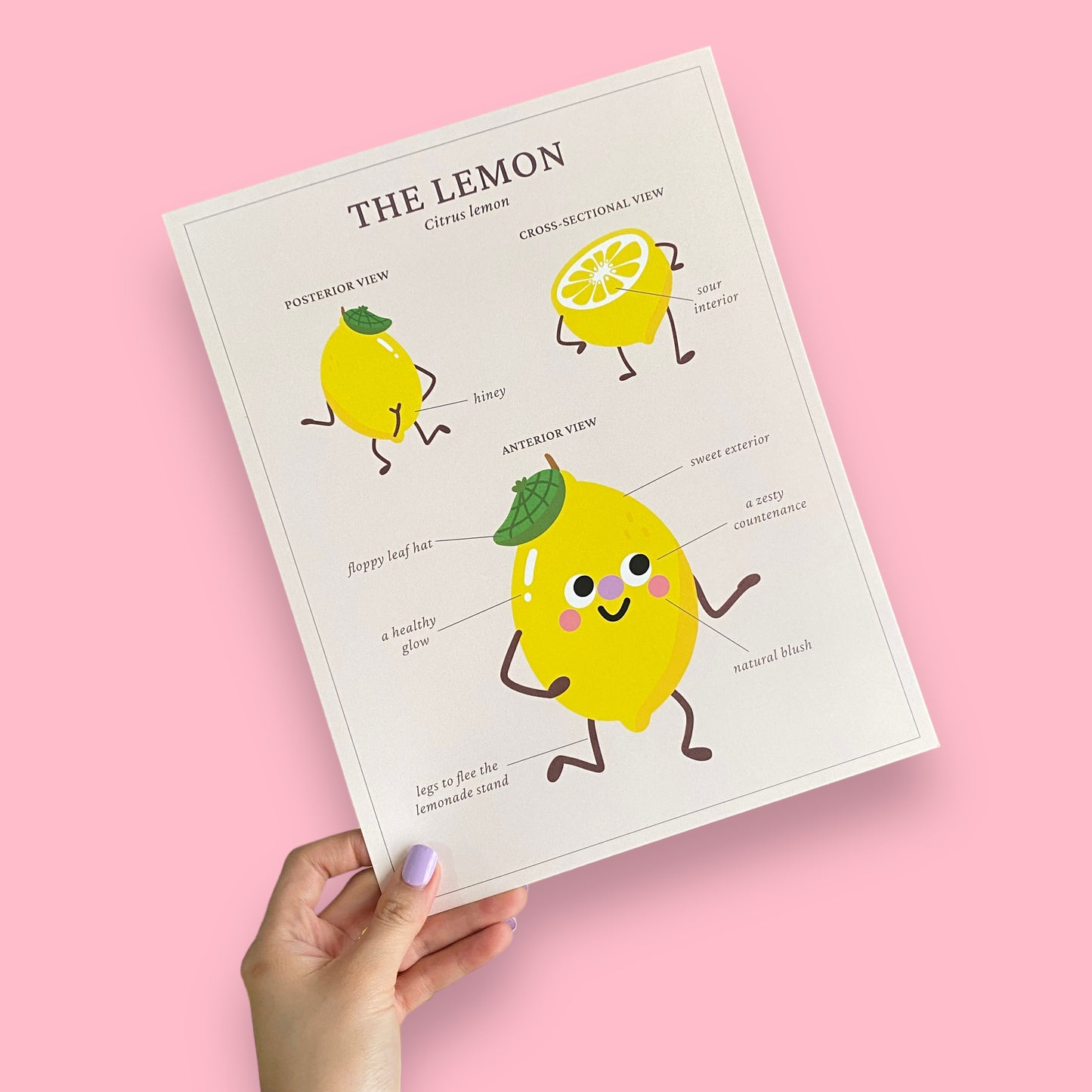 anatomical lemon art print (8.5in x 11in)