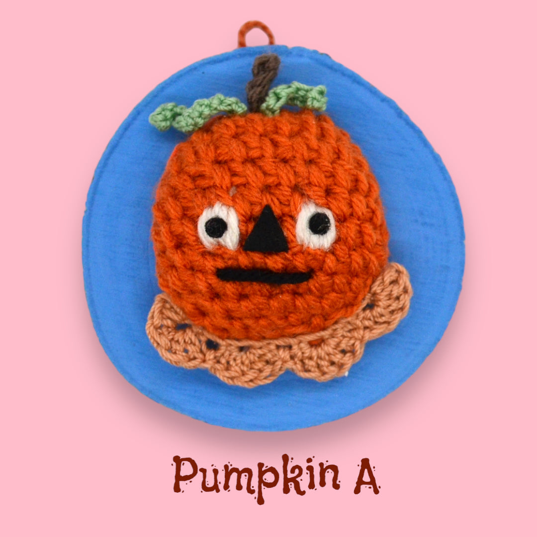 🎃Mini Pumpkin Yarn Taxidermy | Pumpkin Embroidered Wall Art
