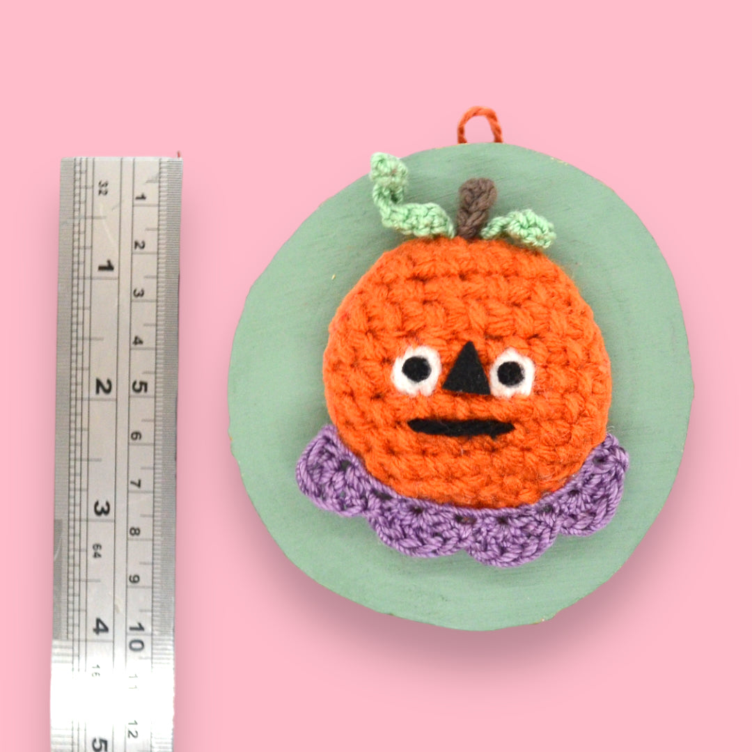 🎃Mini Pumpkin Yarn Taxidermy | Pumpkin Embroidered Wall Art