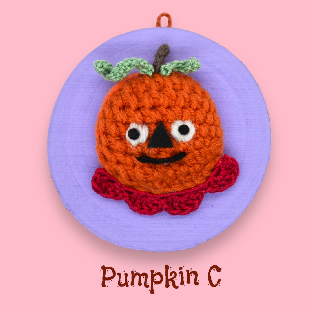 🎃Mini Pumpkin Yarn Taxidermy | Pumpkin Embroidered Wall Art